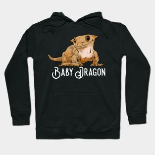 Smiling Crested Gecko, Cute Crestie Drawing, Dragon Gecko Hoodie